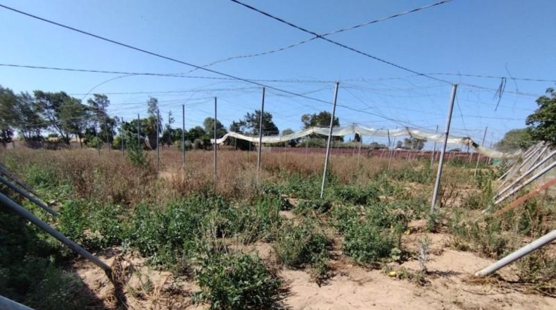 Cádiz - Chipiona - 4730m2