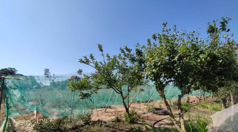 Cádiz - Chipiona - 4730m2