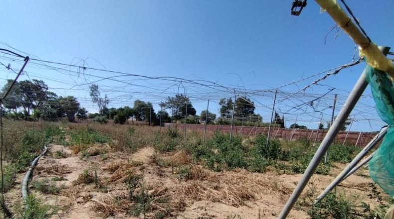 Cádiz - Chipiona - 4730m2