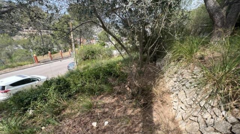 Barcelona - Canyelles - 990m2