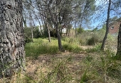 Urban land for sale on España, Canyelles, ref: TR122742 photo