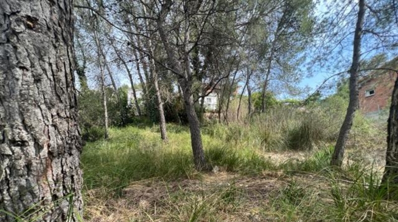 Barcelona - Canyelles - 990m2