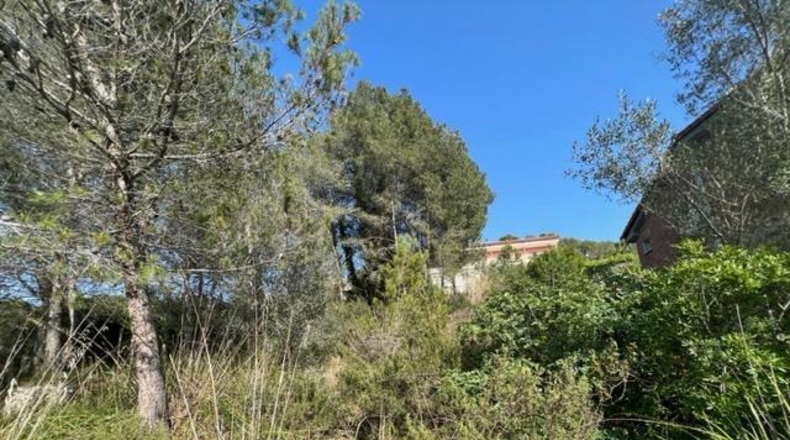 Barcelona - Canyelles - 990m2