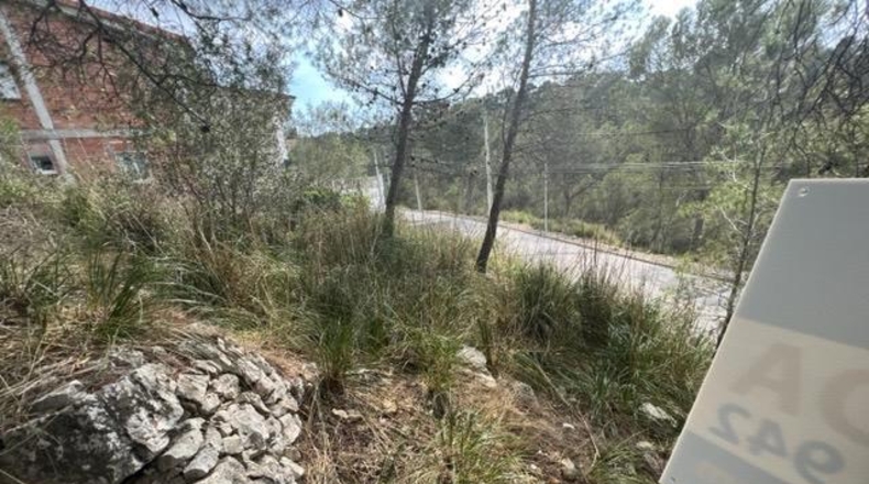 Barcelona - Canyelles - 990m2