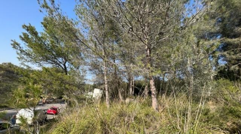 Barcelona - Canyelles - 990m2