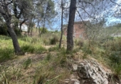 Urban land for sale on España, Canyelles, ref: TR122742 photo