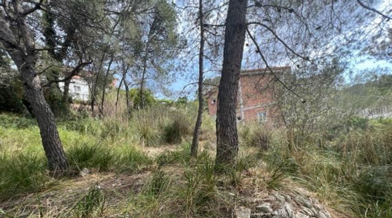 Barcelona - Canyelles - 990m2