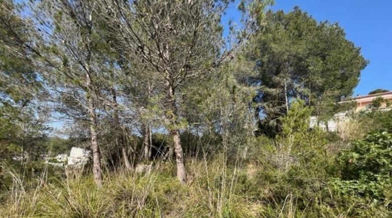 Barcelona - Canyelles - 990m2