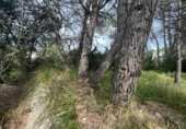 Urban land for sale on España, Canyelles, ref: TR122742 photo