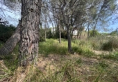 Urban land for sale on España, Canyelles, ref: TR122742 photo
