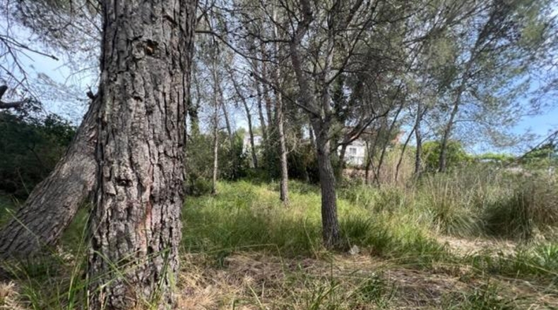 Barcelona - Canyelles - 990m2