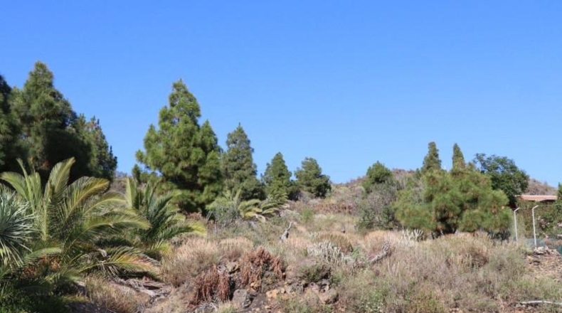 Santa Cruz de Tenerife - El Paso - 4607m2