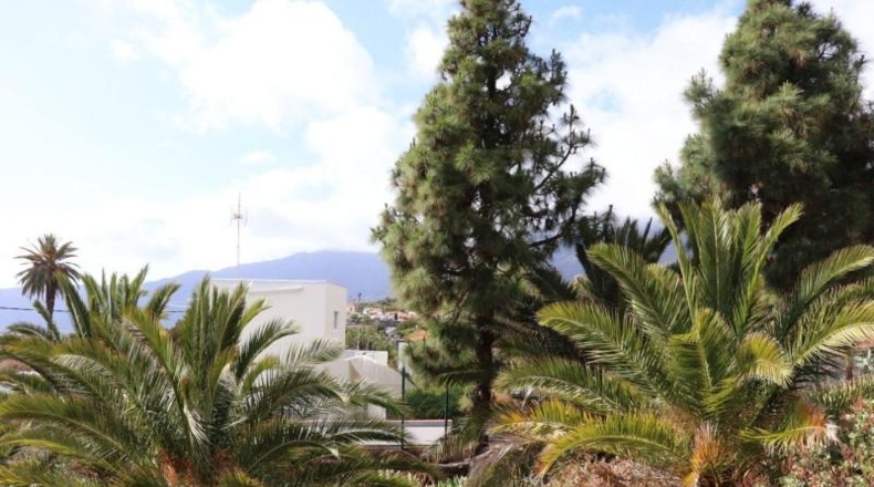 Santa Cruz de Tenerife - El Paso - 4607m2
