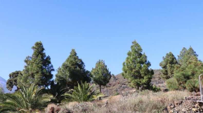 Santa Cruz de Tenerife - El Paso - 4607m2