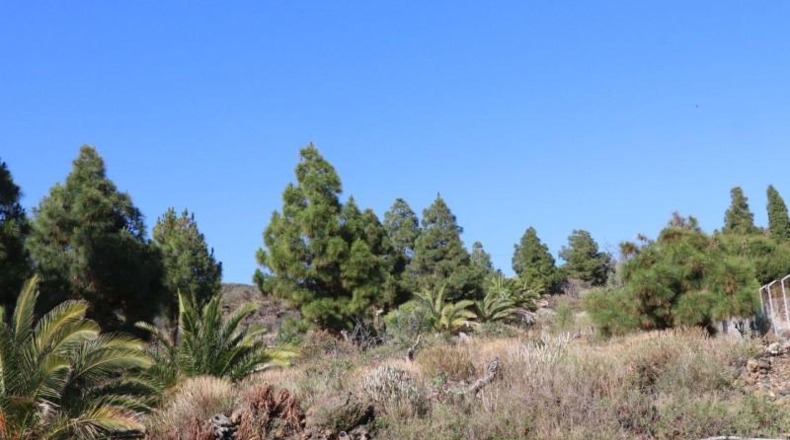 Santa Cruz de Tenerife - El Paso - 4607m2