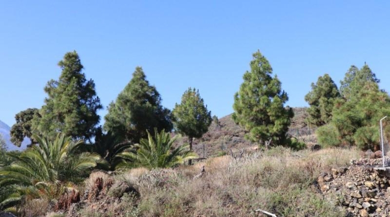 Santa Cruz de Tenerife - El Paso - 4607m2