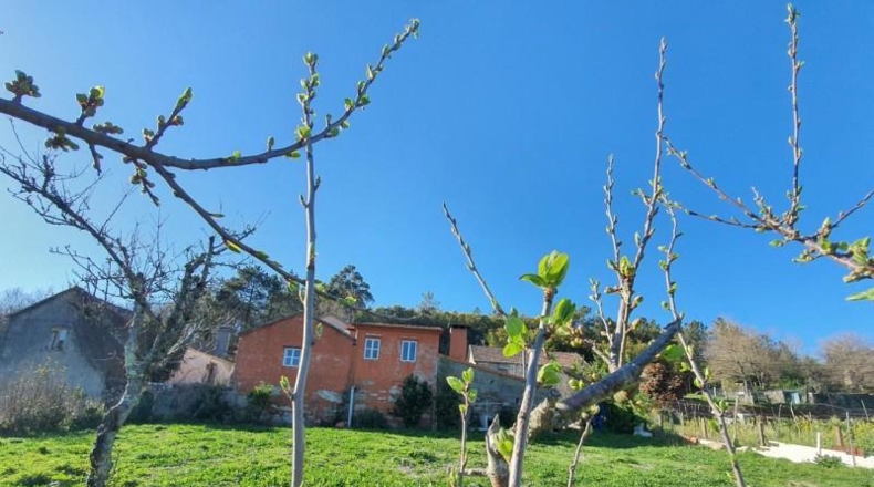 Pontevedra - Santiago de Covelo - 980m2