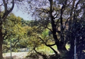 Sòl urbà en venda a la España, Llinars del Vallès, ref.: TR124728 foto