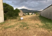 Casa de camp amb terreny en venda a la España, Ponferrada, ref.: TR301892 foto
