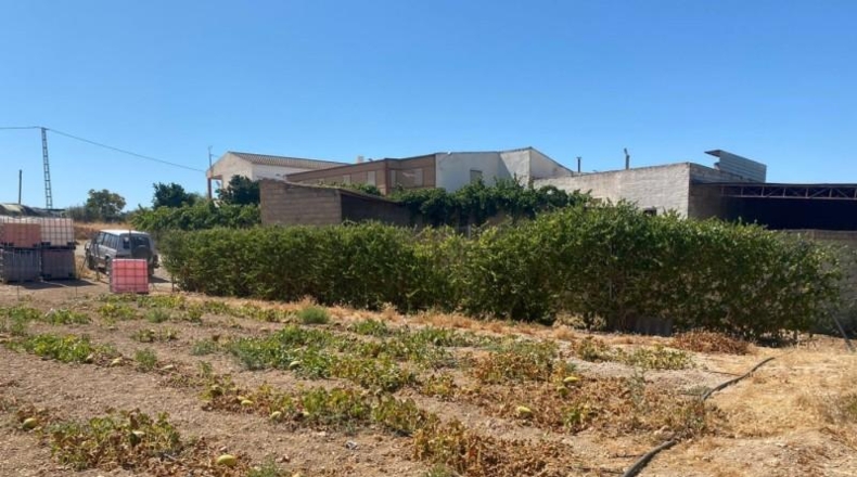 Granada - Huétor Tájar - 5000m2