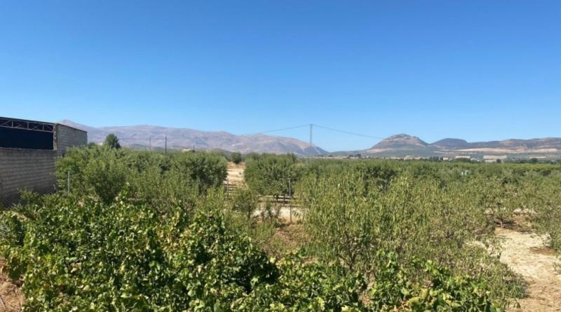 Granada - Huétor Tájar - 5000m2