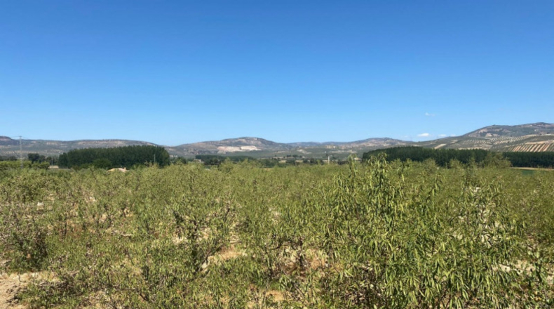 Granada - Huétor Tájar - 5000m2