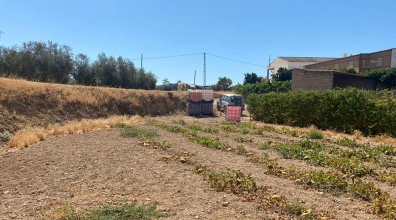 Granada - Huétor Tájar - 5000m2