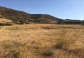 Non-developable land for sale on España, Lorca, ref: TR118375 photo