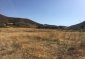 Non-developable land for sale on España, Lorca, ref: TR118375 photo