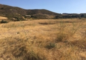 Non-developable land for sale on España, Lorca, ref: TR118375 photo