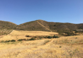 Non-developable land for sale on España, Lorca, ref: TR118375 photo