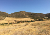 Non-developable land for sale on España, Lorca, ref: TR118375 photo