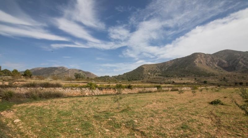 Alicante - Algueña - 30100m2