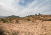 Земля на продажу у города Algueña Фото