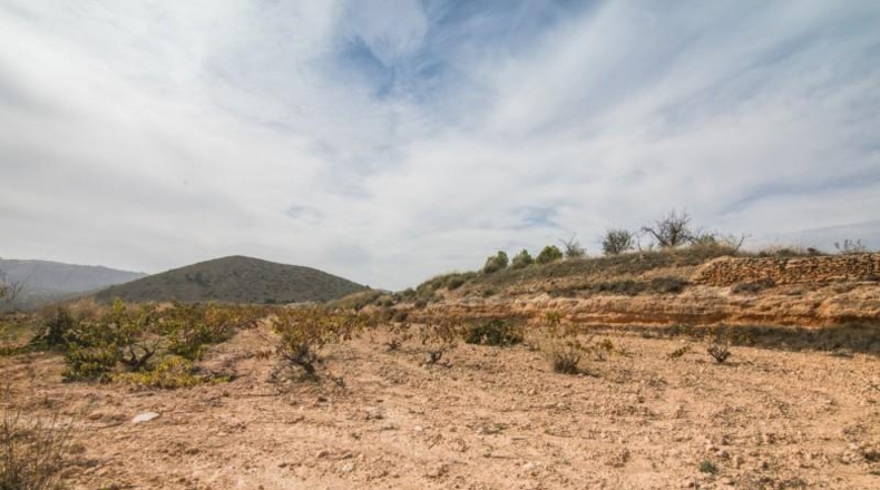 Alicante - Algueña - 30100m2
