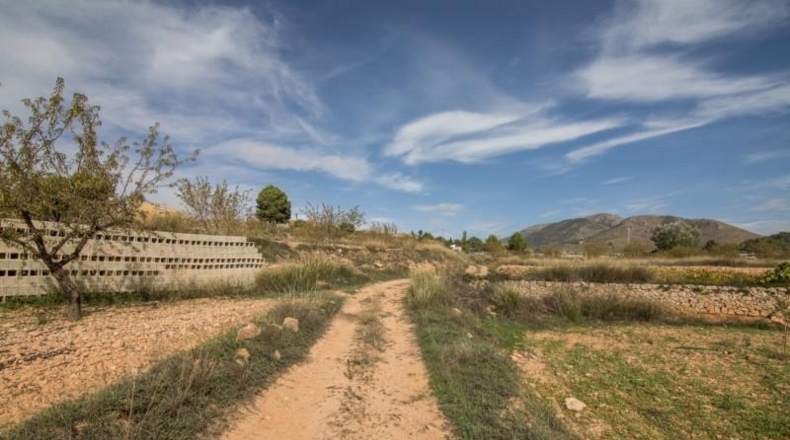 Alicante - Algueña - 30100m2
