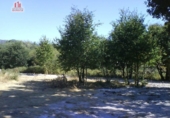 Land suitable for development for sale on España, Nogueira, ref: TR119284 photo