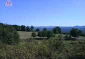 Land suitable for development for sale on España, Nogueira, ref: TR119284 photo