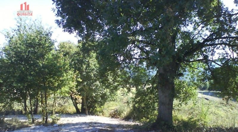 Orense - Fontes - 4106m2