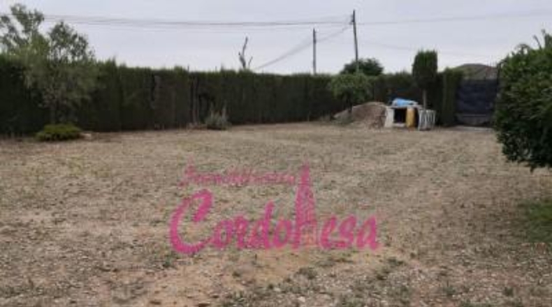 Córdoba - Córdoba - 900m2