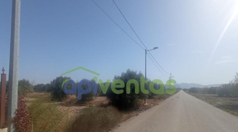Múrcia - Lorca - 5005m2