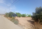 Земля на продажу у города Lorca Фото