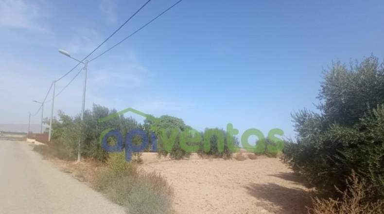 Múrcia - Lorca - 5005m2