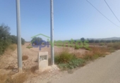 Terreny no urbanitzable en venda a la España, Lorca, ref.: TR119382 foto