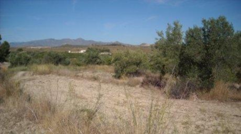 Múrcia - Calasparra - 5020m2