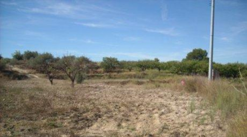Múrcia - Calasparra - 5020m2