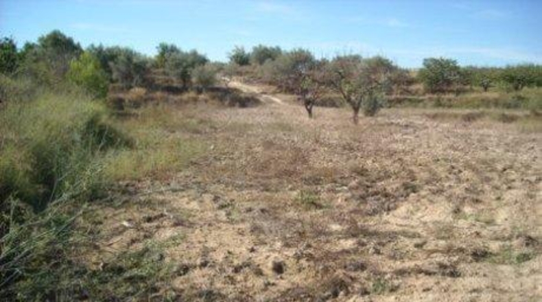 Múrcia - Calasparra - 5020m2