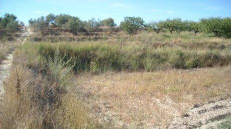 Múrcia - Calasparra - 5020m2