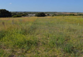 Terreny no urbanitzable en venda a la España, La Solana, ref.: TR112920 foto