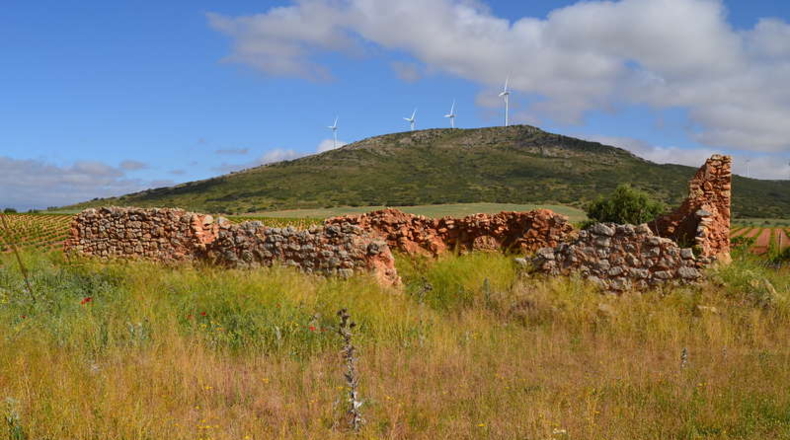 Ciudad Real - La Solana - 130000m2